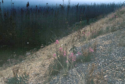 a052