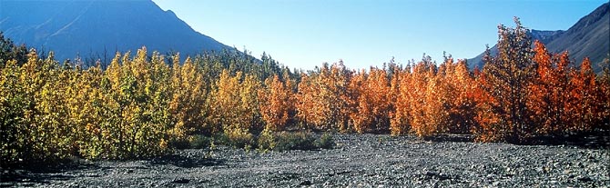 indiansummer