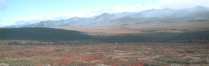 dempster