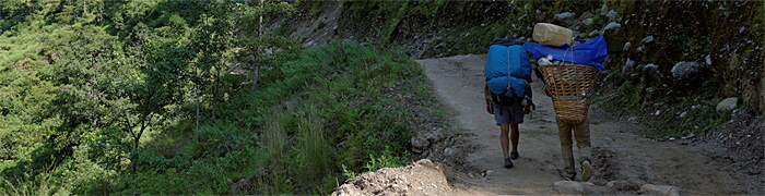ngadibazar