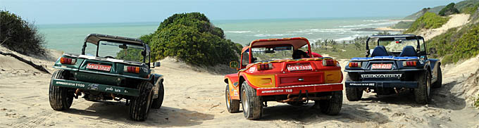 dsc_buggy