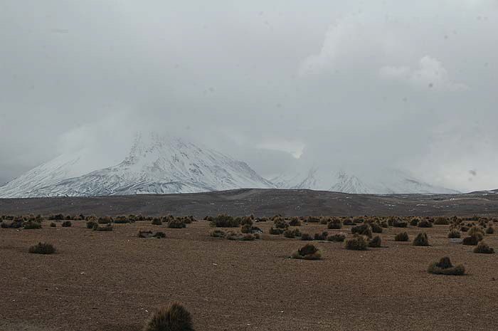 DSC_1187