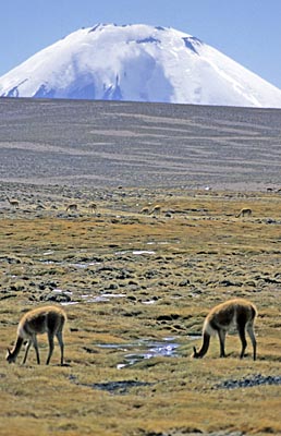 2003_Chile_Argentinien_0032