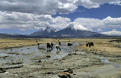 2003_Chile_Argentinien_0039