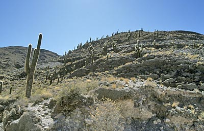 2003_Chile_Argentinien_0182