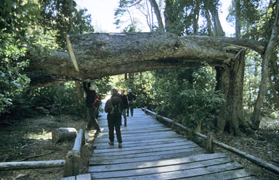 Chile_Argentinien_0251