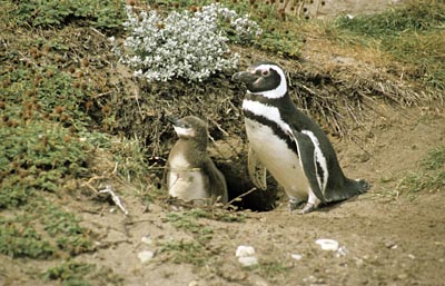 Chile_Argentinien_0022