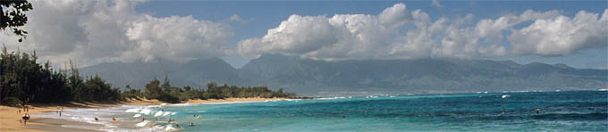 Hawaiitop