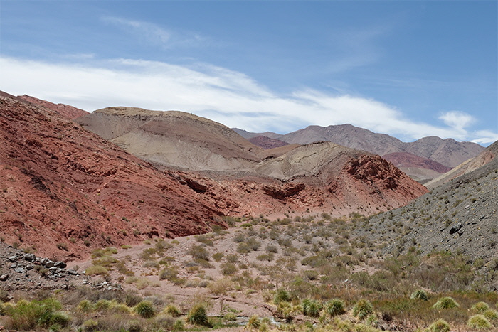 ruta60