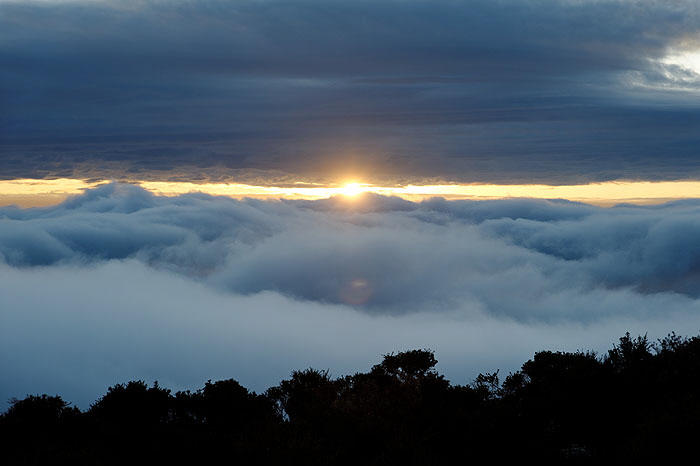 ods_DSC_3646_DxO