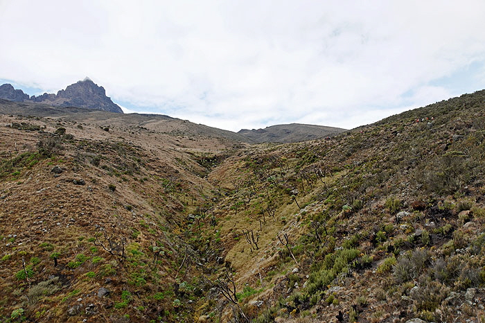 ods_DSC_3654_DxO