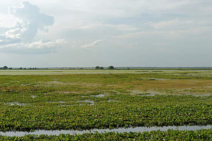 800_2523_DxO