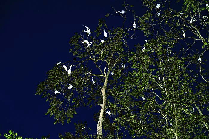 800_2619_DxO