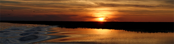 llanos