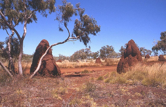 Australien